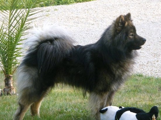 Publication : des Legendes de Retz