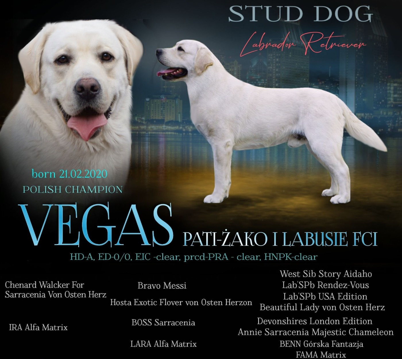 CH. VEGAS PATI ZAKO I LABUSIE