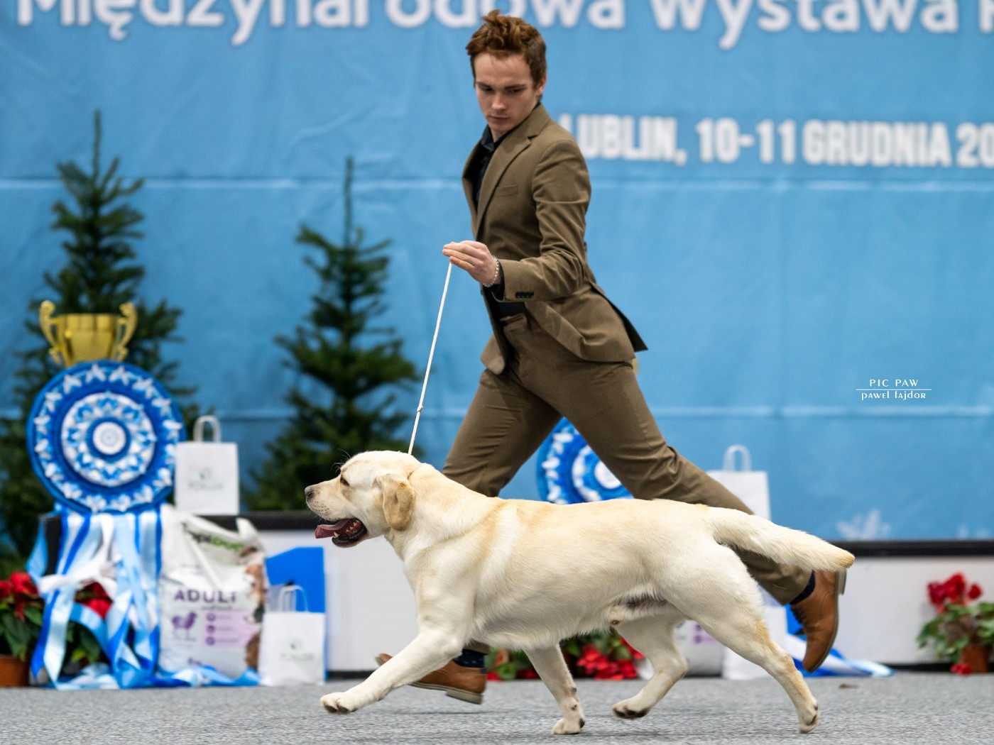 CH. VEGAS PATI ZAKO I LABUSIE