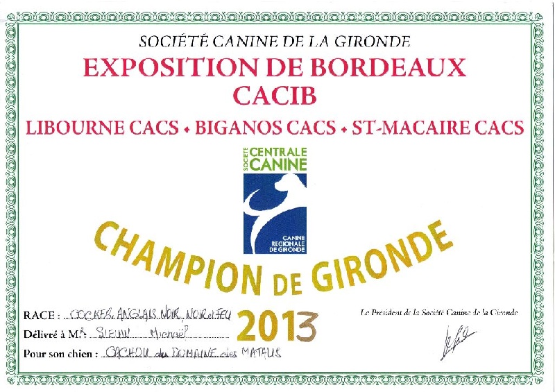 Cachou du domaine des matalis