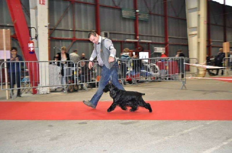 Cachou du domaine des matalis