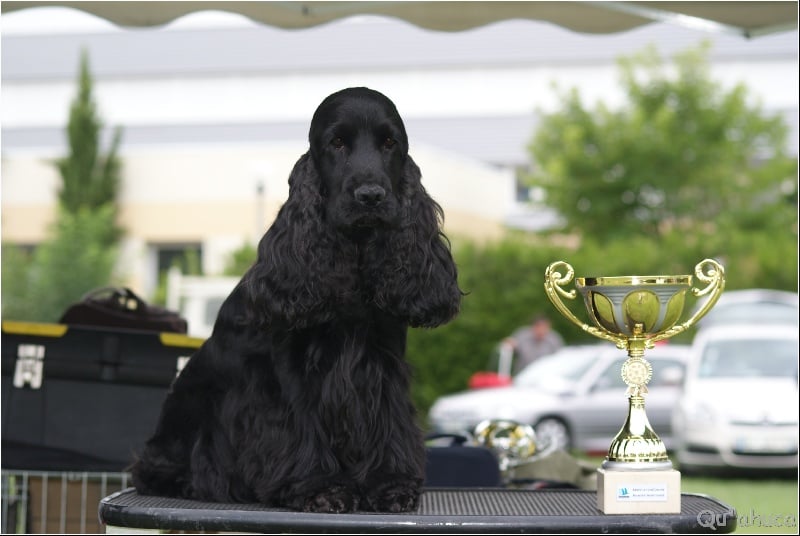 Cachou du domaine des matalis
