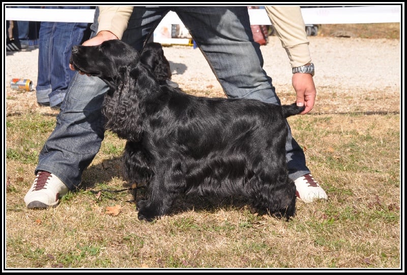 Cachou du domaine des matalis