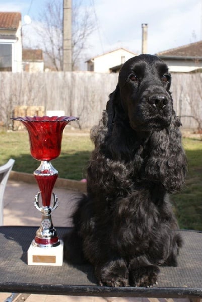 Cachou du domaine des matalis