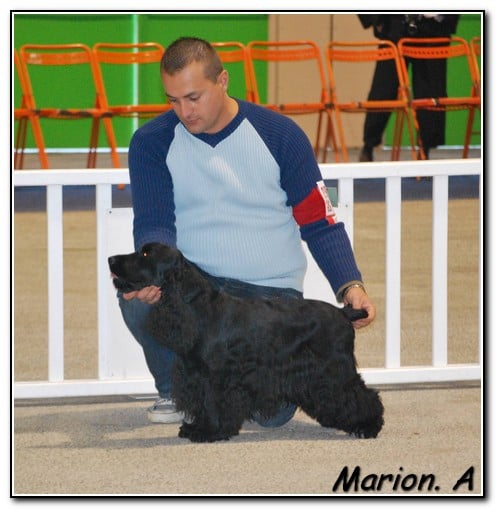 Cachou du domaine des matalis