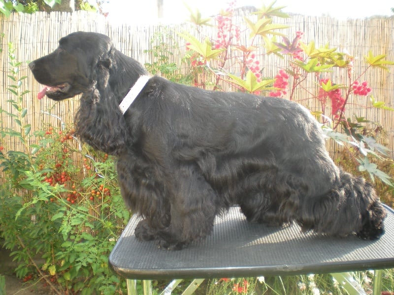 Cachou du domaine des matalis