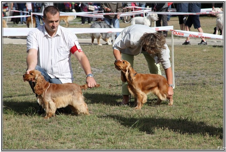 First lady (dite fidji) du domaine des matalis - 2° Exc. - classe jeune