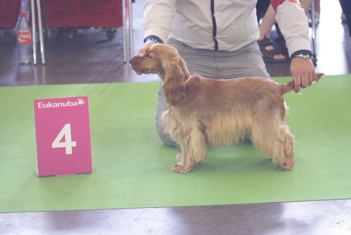 First lady (dite fidji) du domaine des matalis - 4ème Excellent - classe jeune