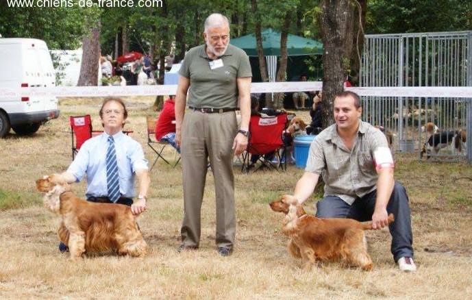 First lady (dite fidji) du domaine des matalis - 1° Exc. CACS - Classe ouverte