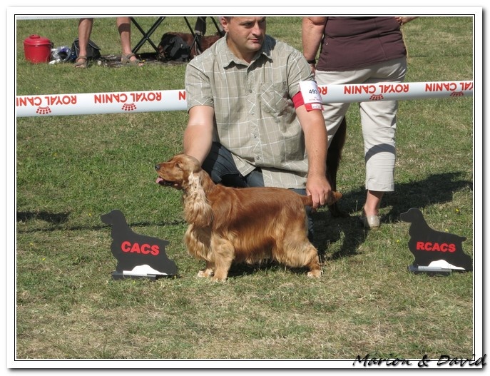 First lady (dite fidji) du domaine des matalis - 1° Exc. CACS - Classe ouverte