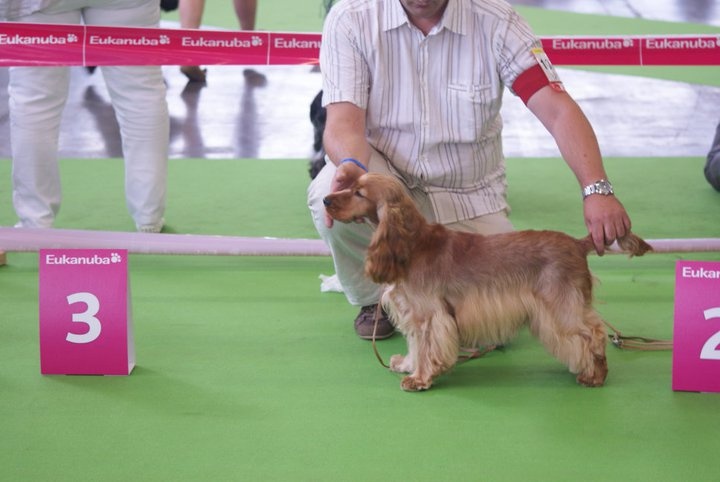 First lady (dite fidji) du domaine des matalis - 3° Excellent - classe jeune