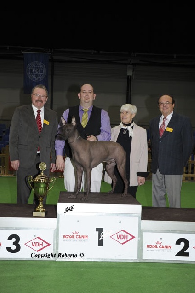 CH. Gaïus de l'orchidée de lune - BEST IN SHOW