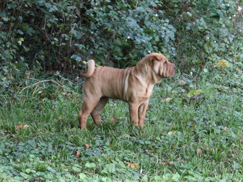 Get up stand up dite gandja Des Lueurs Australes