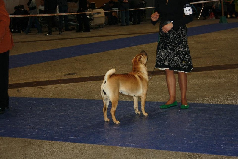 Geena dite geïsha Du manoir de kerlessy - Excellent