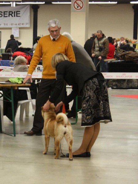 Hi girl! welcome to the world Des Lueurs Australes - Très Prometteur