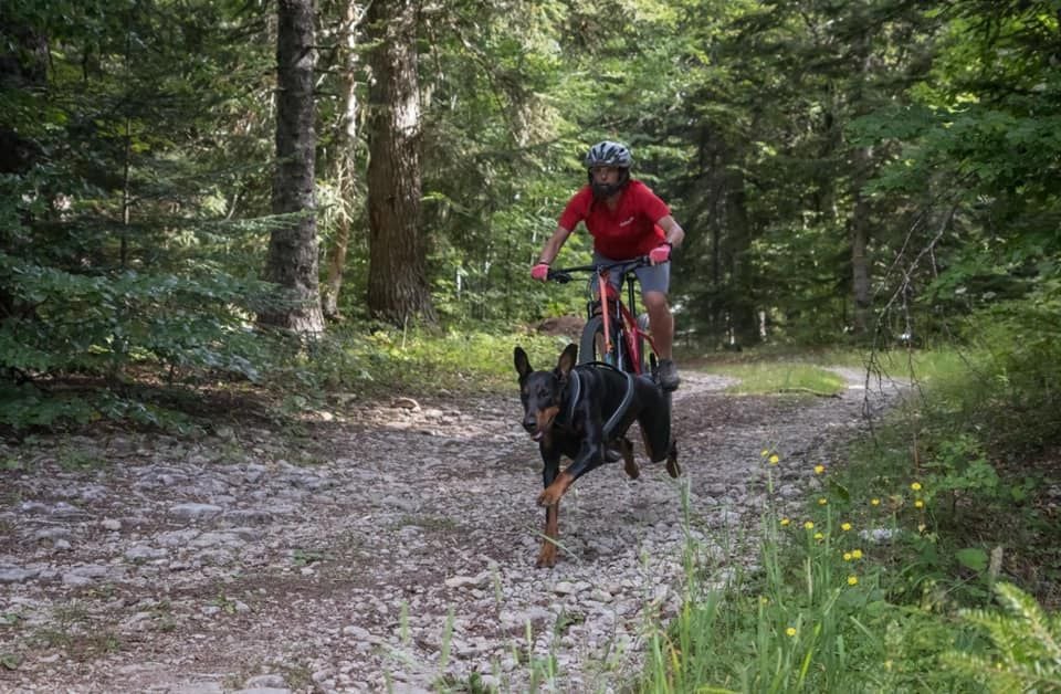 Publication : Des Brumes De Kalhan