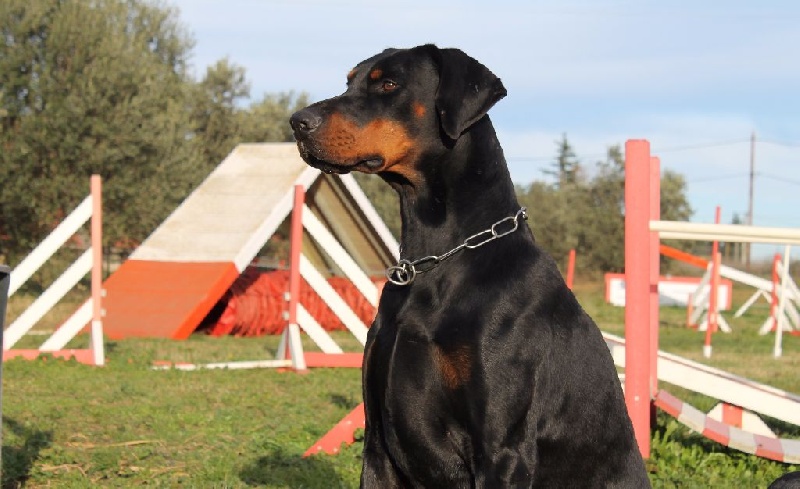 Publication : Des Brumes De Kalhan