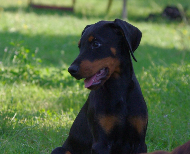 Publication : Des Brumes De Kalhan