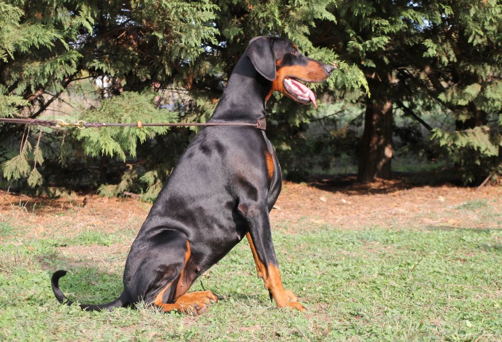 Publication : Des Brumes De Kalhan