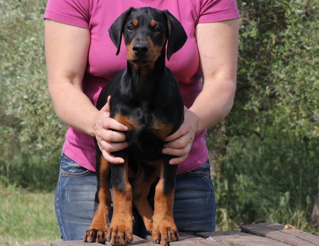 Publication : Des Brumes De Kalhan