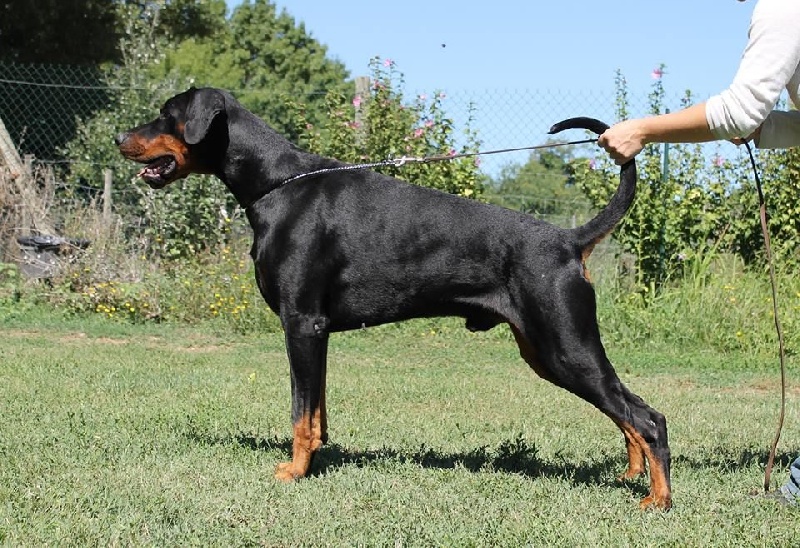 Publication : Des Brumes De Kalhan