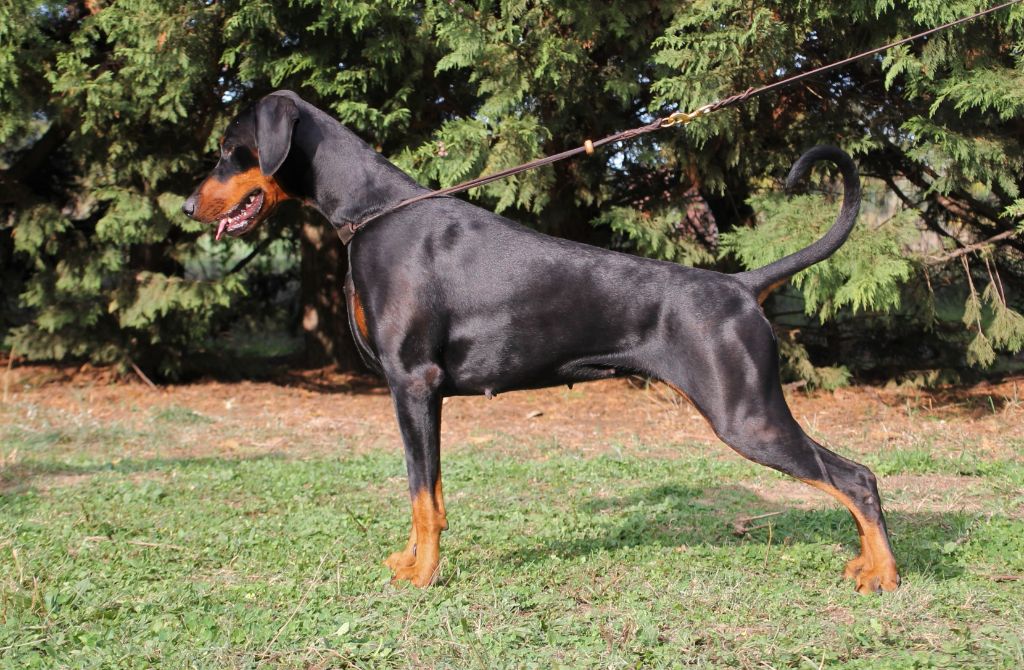 Publication : Des Brumes De Kalhan