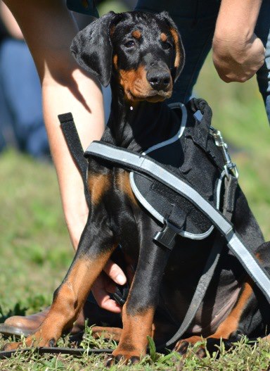 Publication : Des Brumes De Kalhan