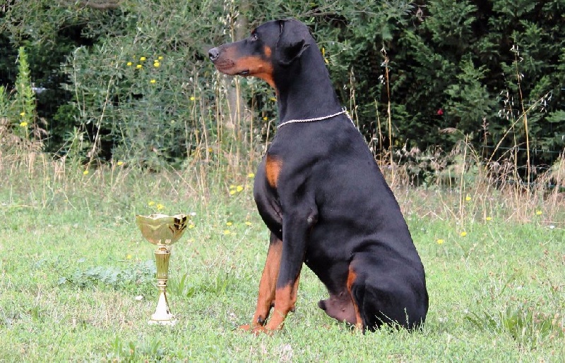 Publication : Des Brumes De Kalhan