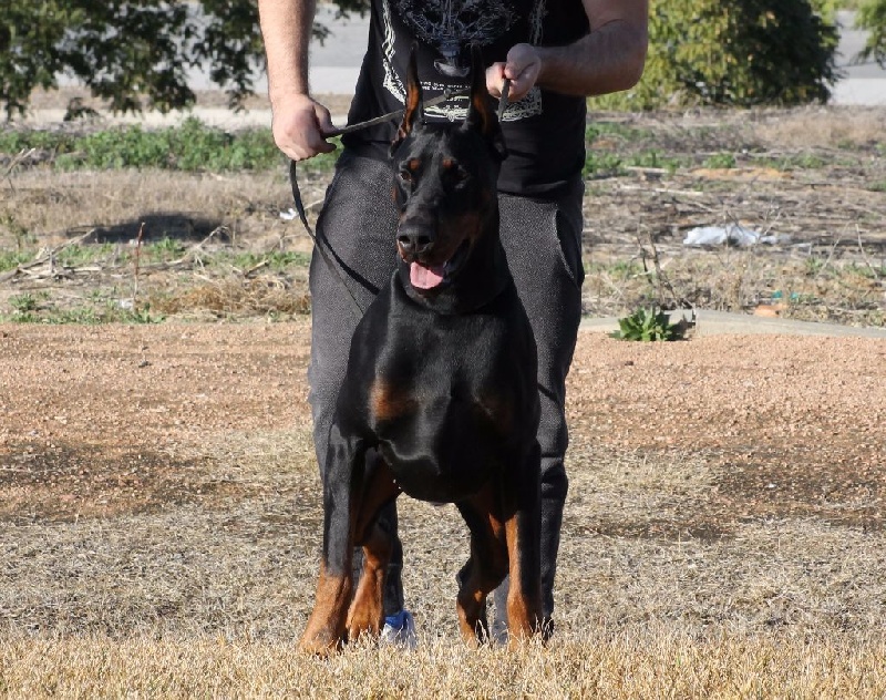 Publication : Des Brumes De Kalhan