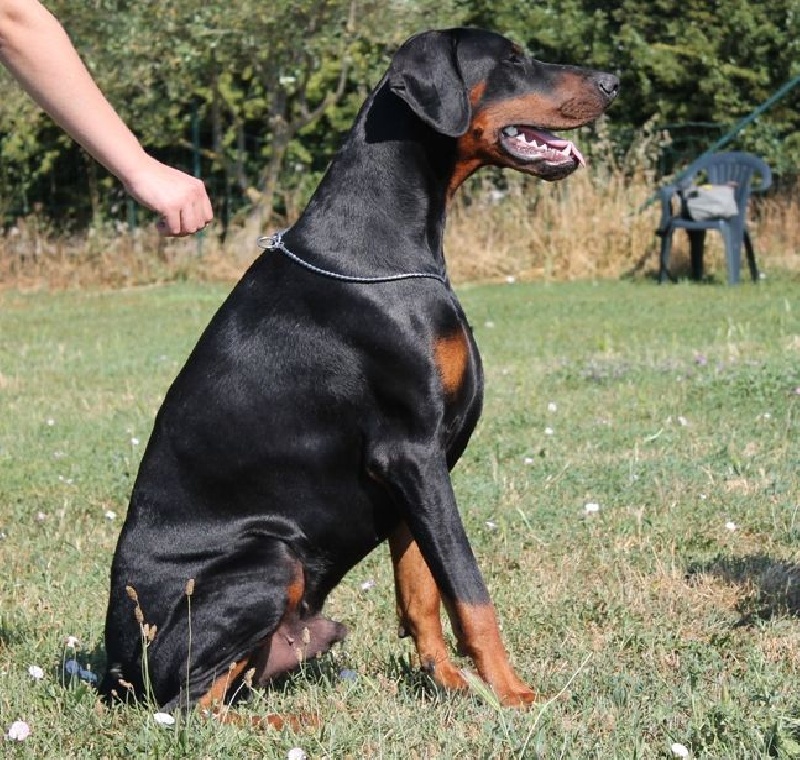 Publication : Des Brumes De Kalhan