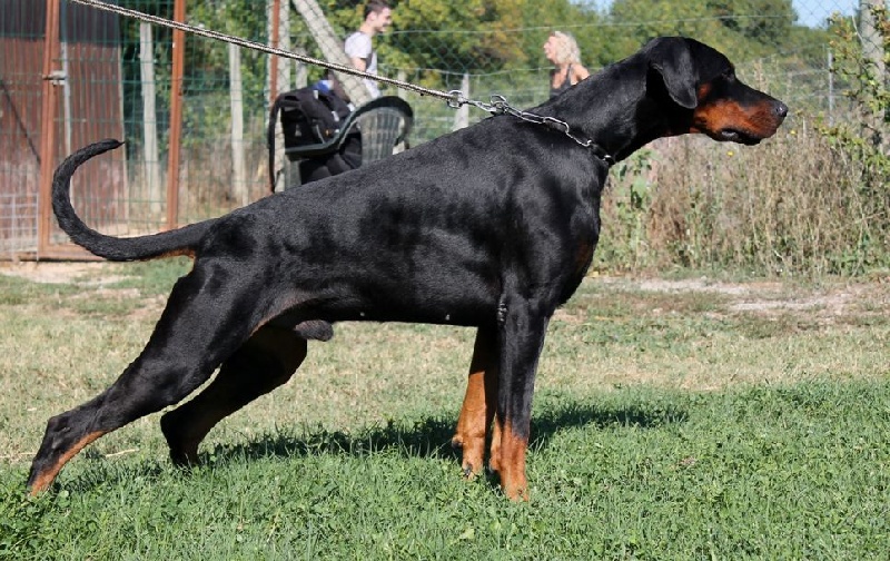 Publication : Des Brumes De Kalhan