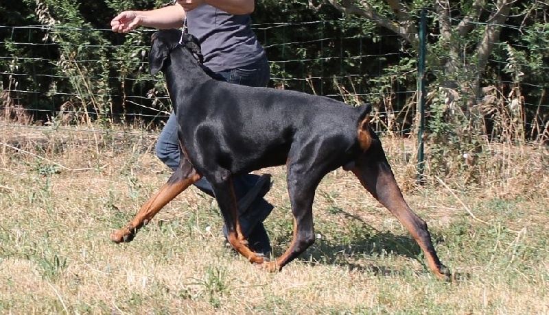 Publication : Des Brumes De Kalhan