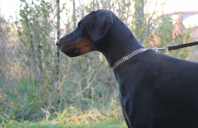 Publication : Des Brumes De Kalhan