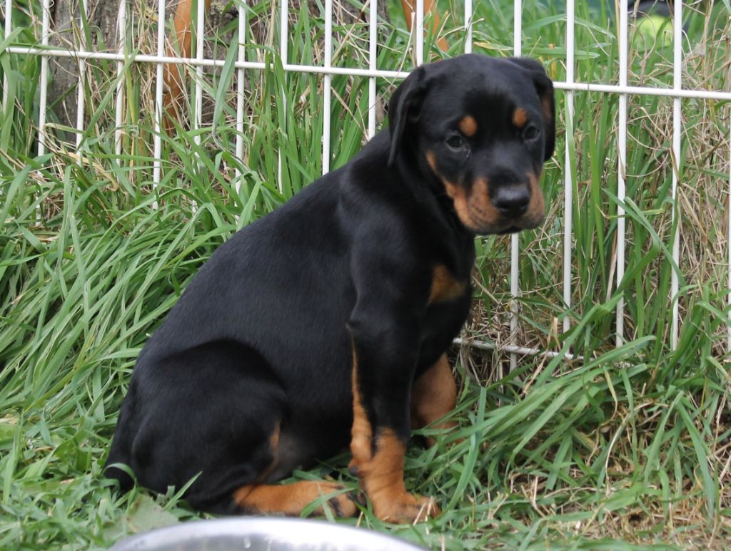 Publication : Des Brumes De Kalhan