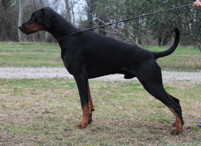 Publication : Des Brumes De Kalhan