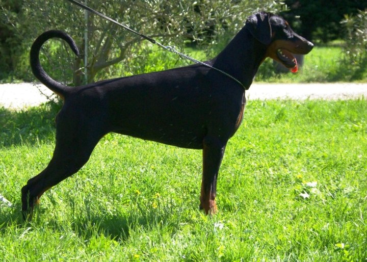 Publication : Des Brumes De Kalhan