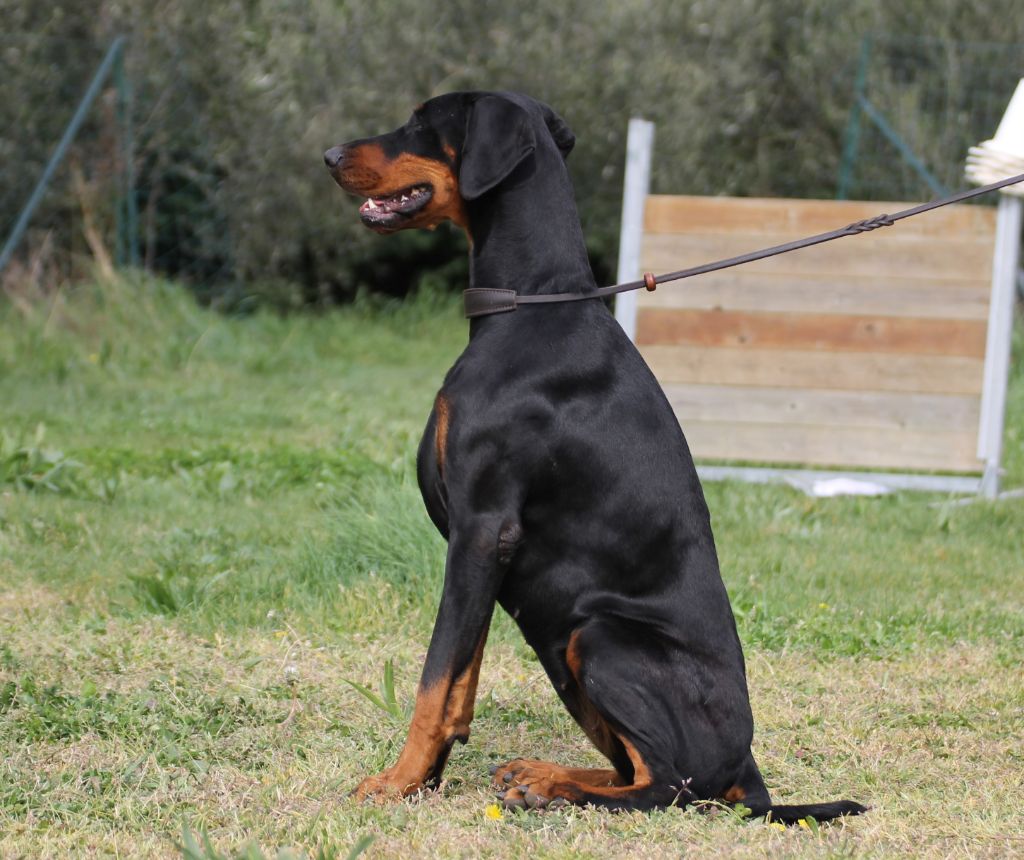 Publication : Des Brumes De Kalhan