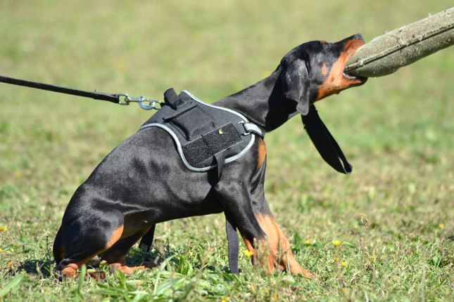 Publication : Des Brumes De Kalhan