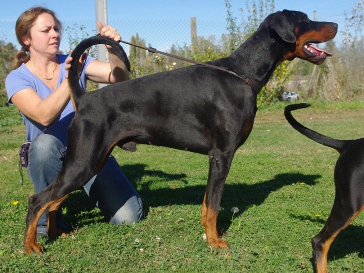 Publication : Des Brumes De Kalhan