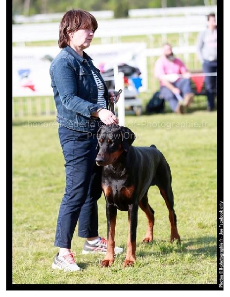 Publication : Des Brumes De Kalhan