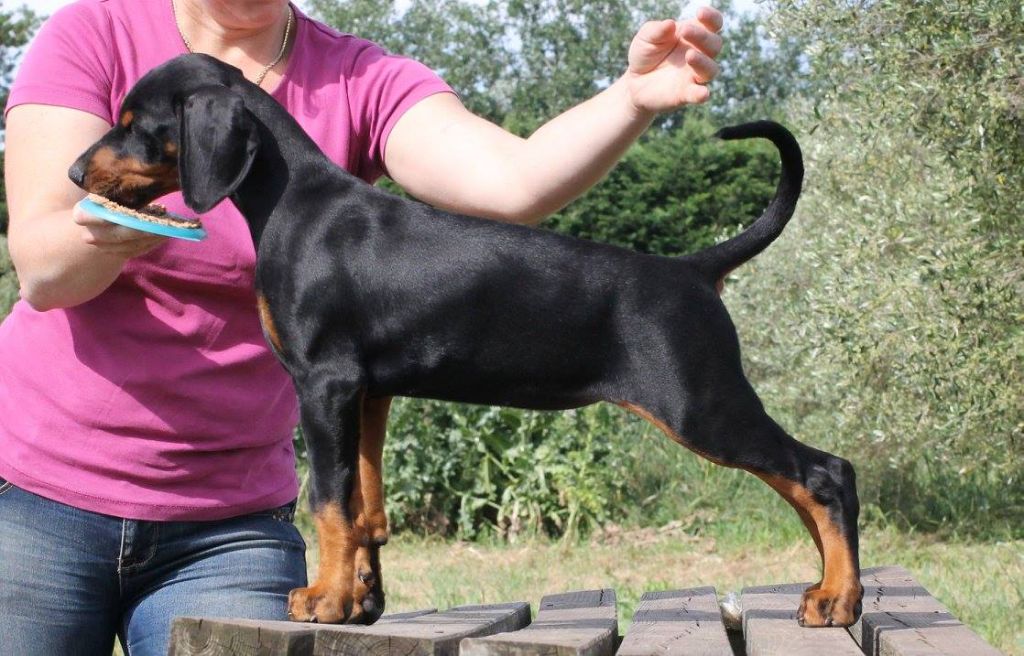 Publication : Des Brumes De Kalhan