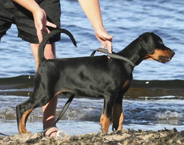 Publication : Des Brumes De Kalhan