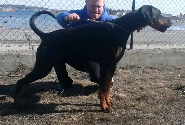 Publication : Des Brumes De Kalhan