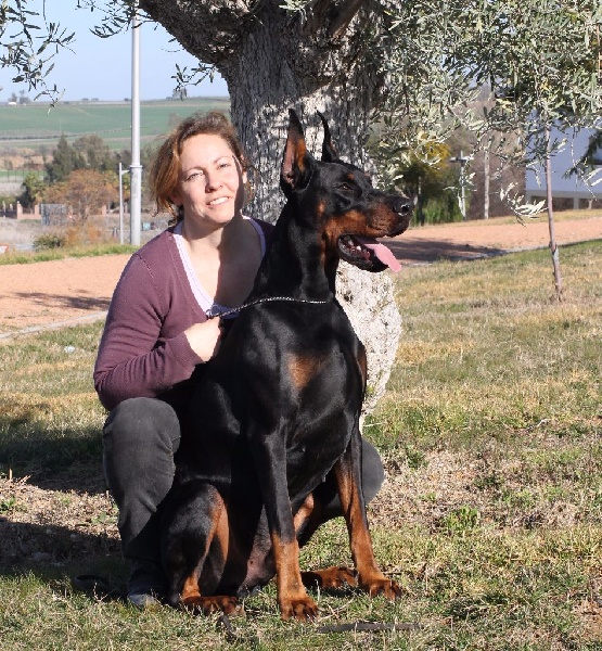 Publication : Des Brumes De Kalhan