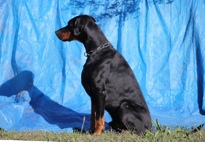 Publication : Des Brumes De Kalhan