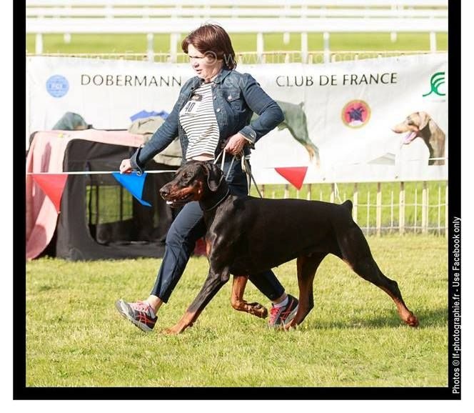 Publication : Des Brumes De Kalhan