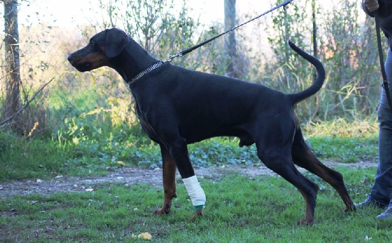 Publication : Des Brumes De Kalhan