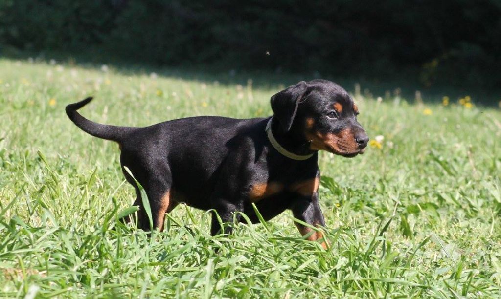 Publication : Des Brumes De Kalhan