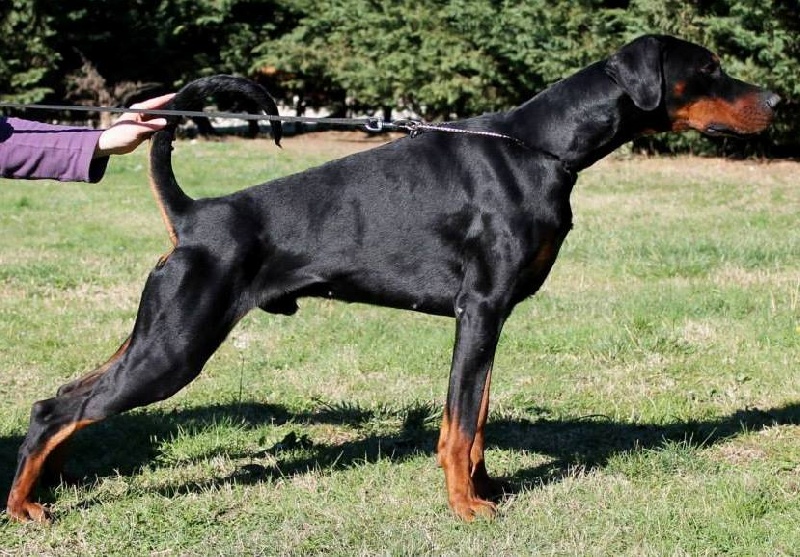 Publication : Des Brumes De Kalhan