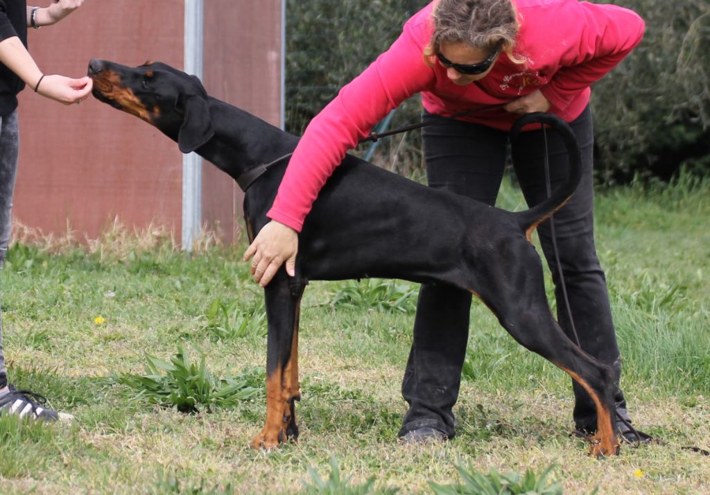 Publication : Des Brumes De Kalhan